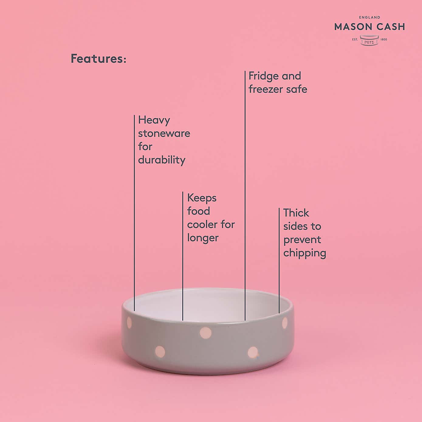 Mason Cash Set of 2 Spotty Pet Bowls