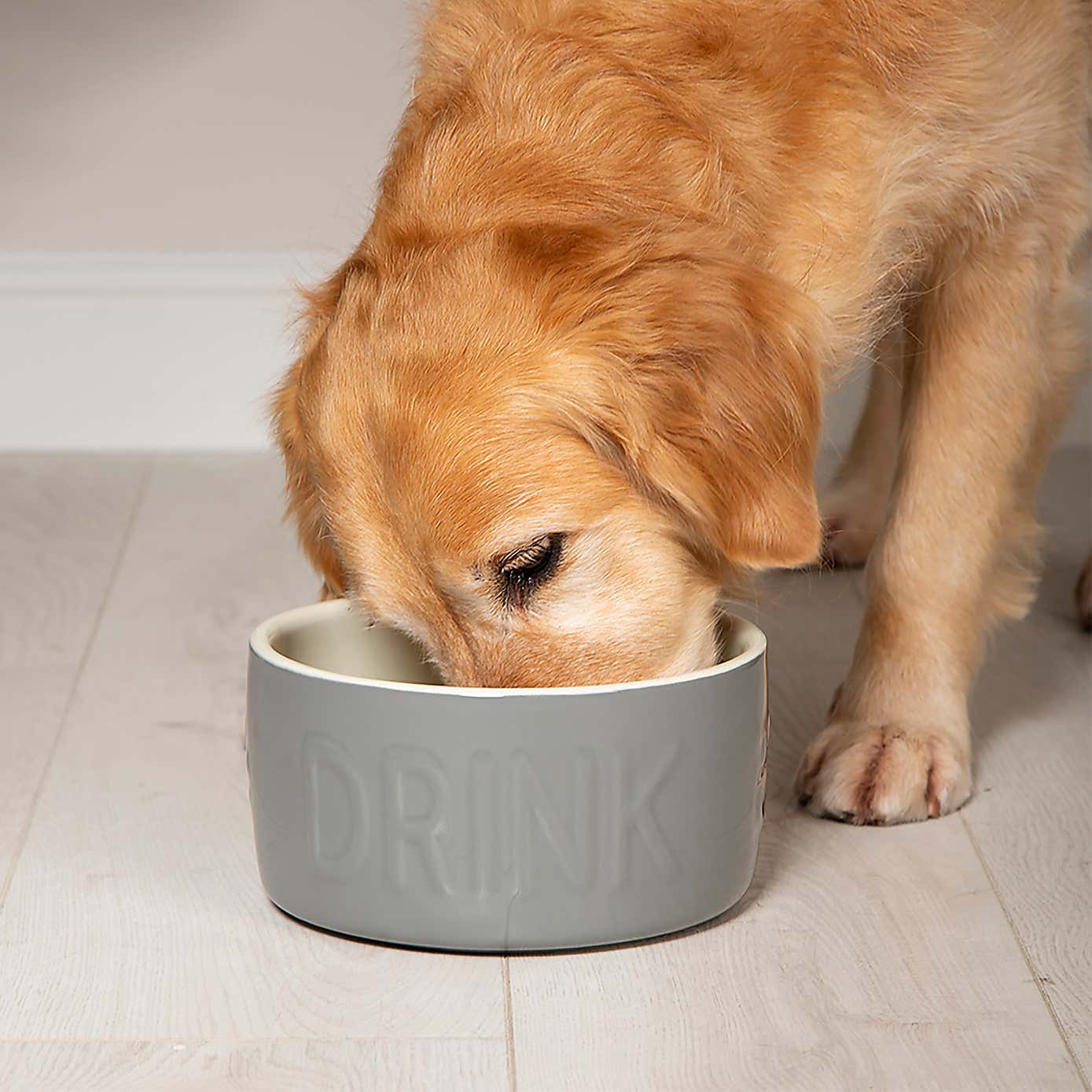 Scruffs Set of 2 Flat Faced Dog Bowls