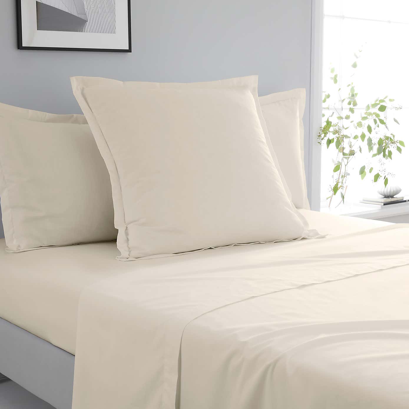 Pure Cotton Continental Square Pillowcase