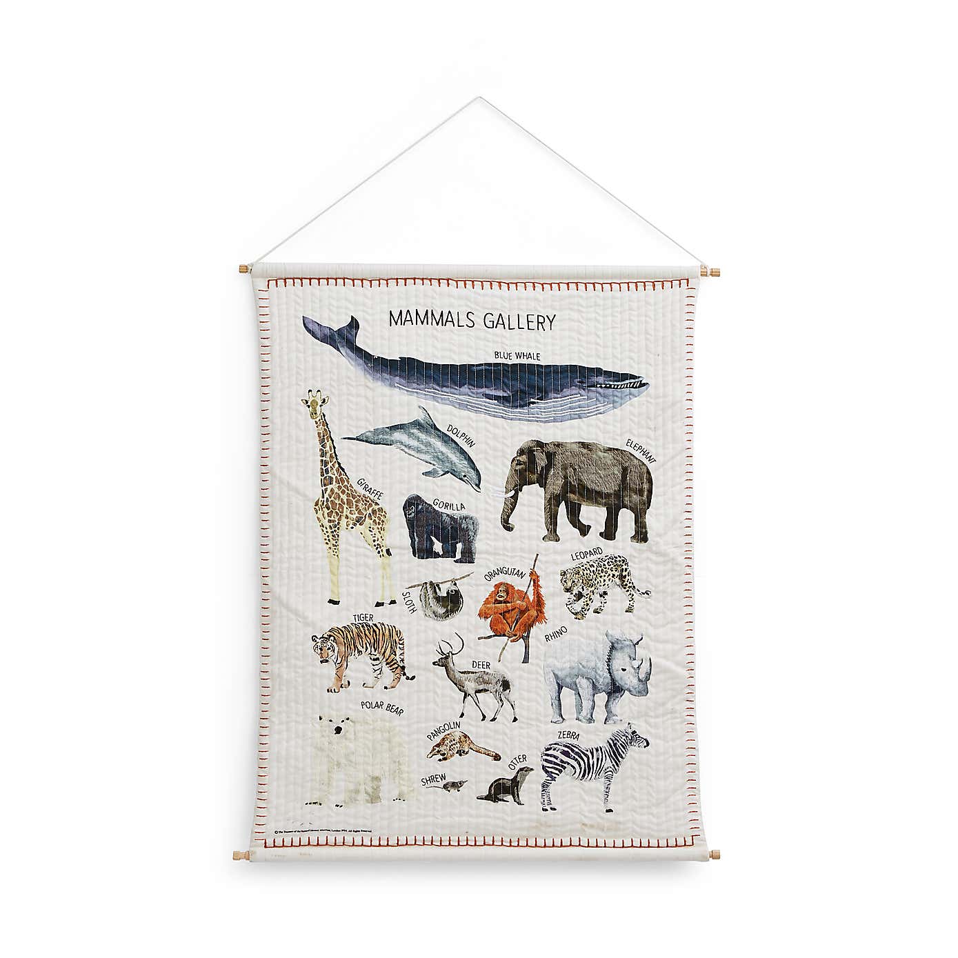 Mammal Gallery Wall Hanging