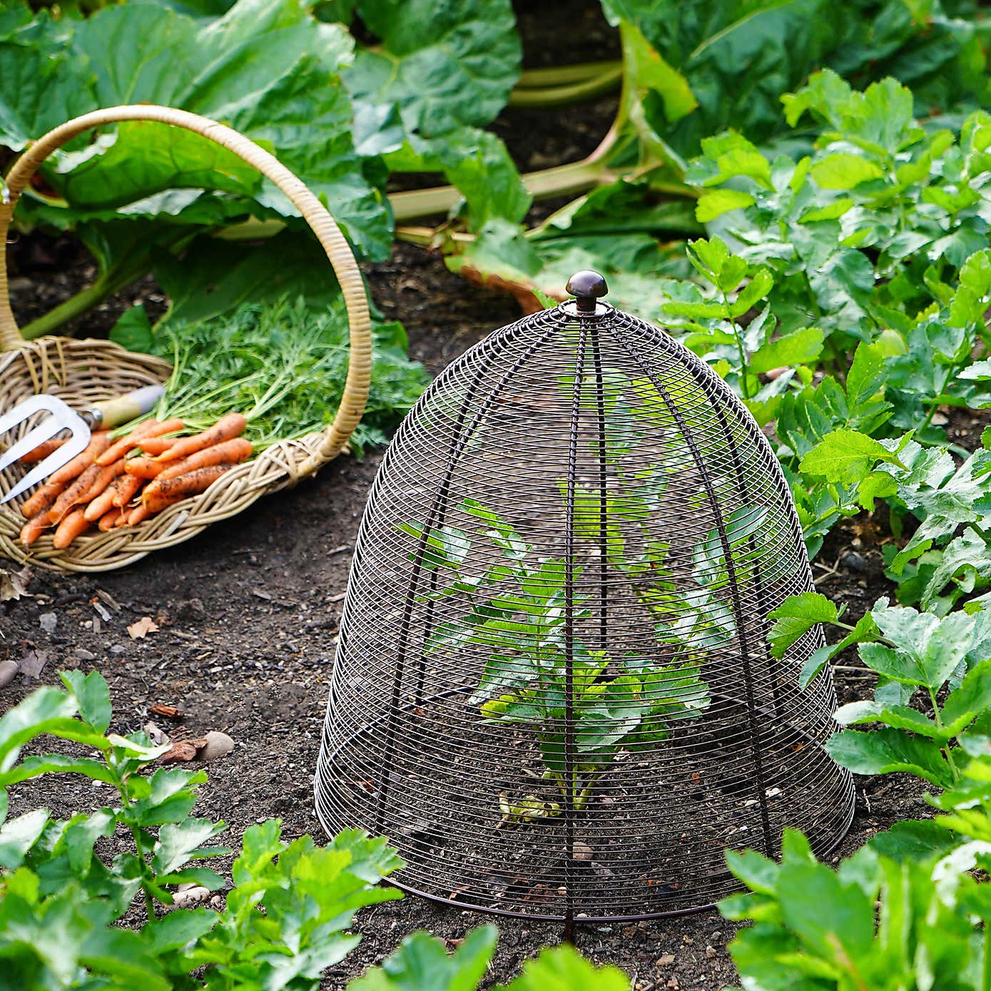 Outdoor Wired Plant Protector