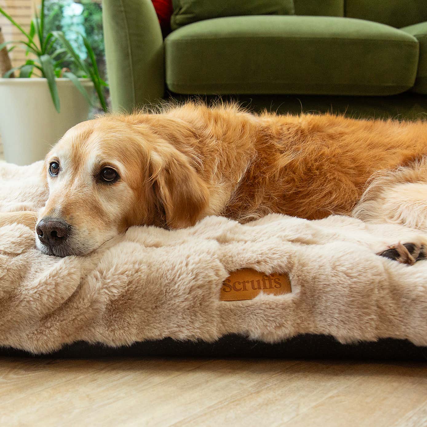Scruffs Luxurious Alpine Dog Mattress