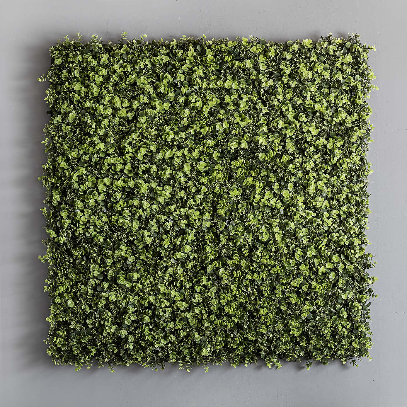 Artificial Eucalyptus and Sedum Wall Panels