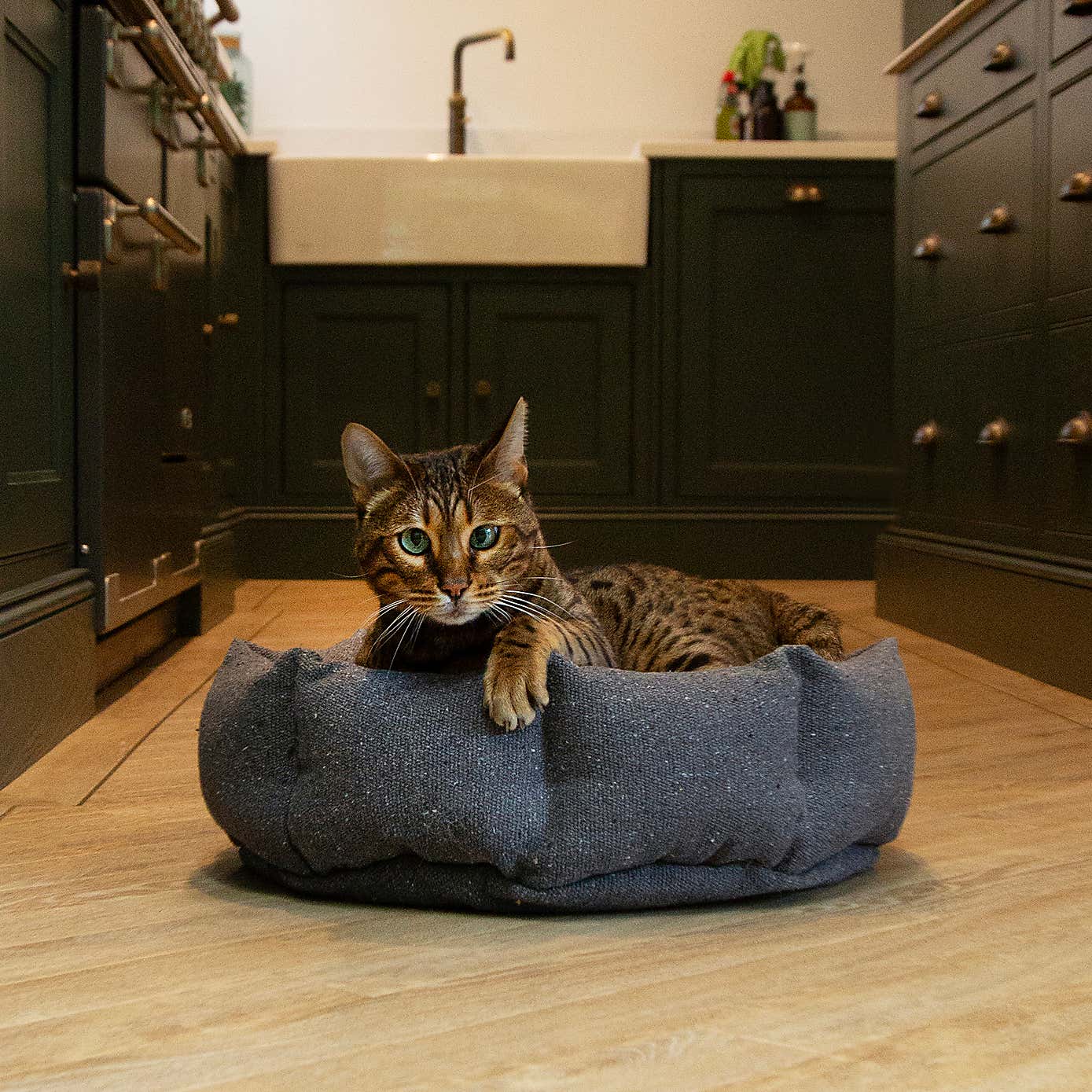 Scruffs 100% Recycled Eden Cat Small Dog Bed