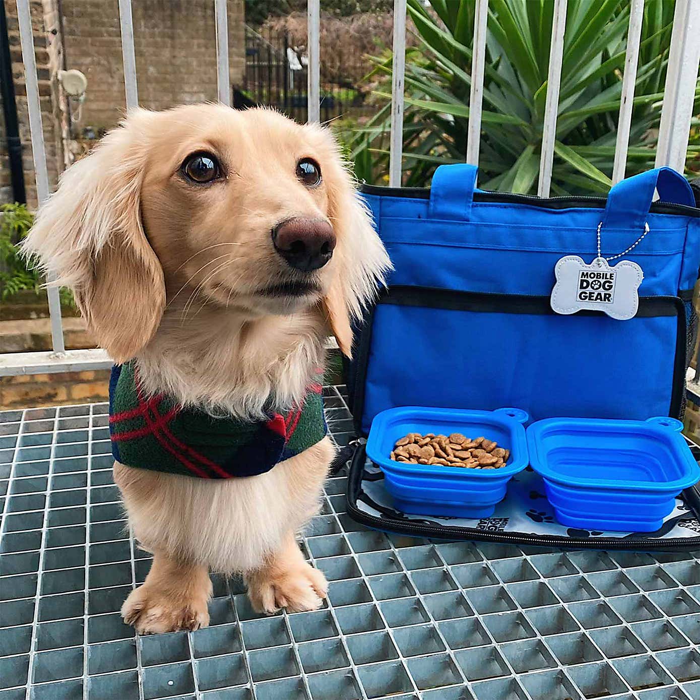 Lords and Labradors Mobile Dog Gear Weekend Bag