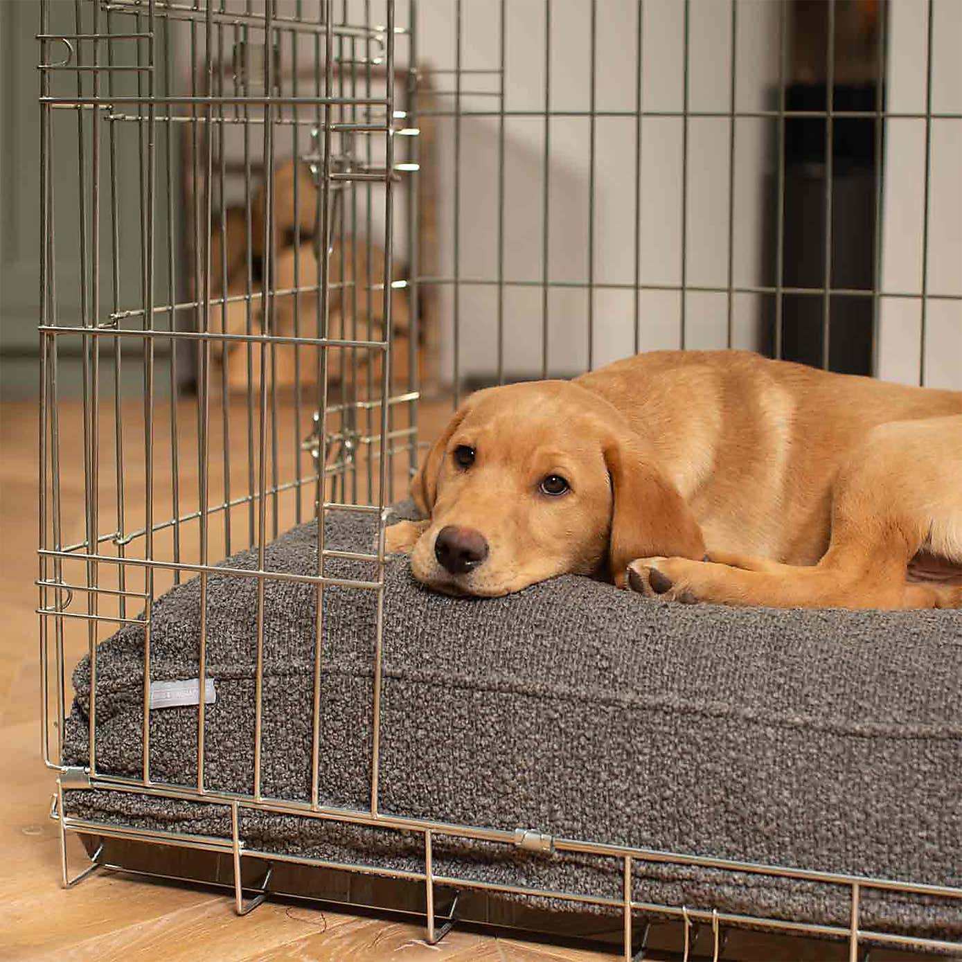 Lords and Labradors Boucle Dog Cushion