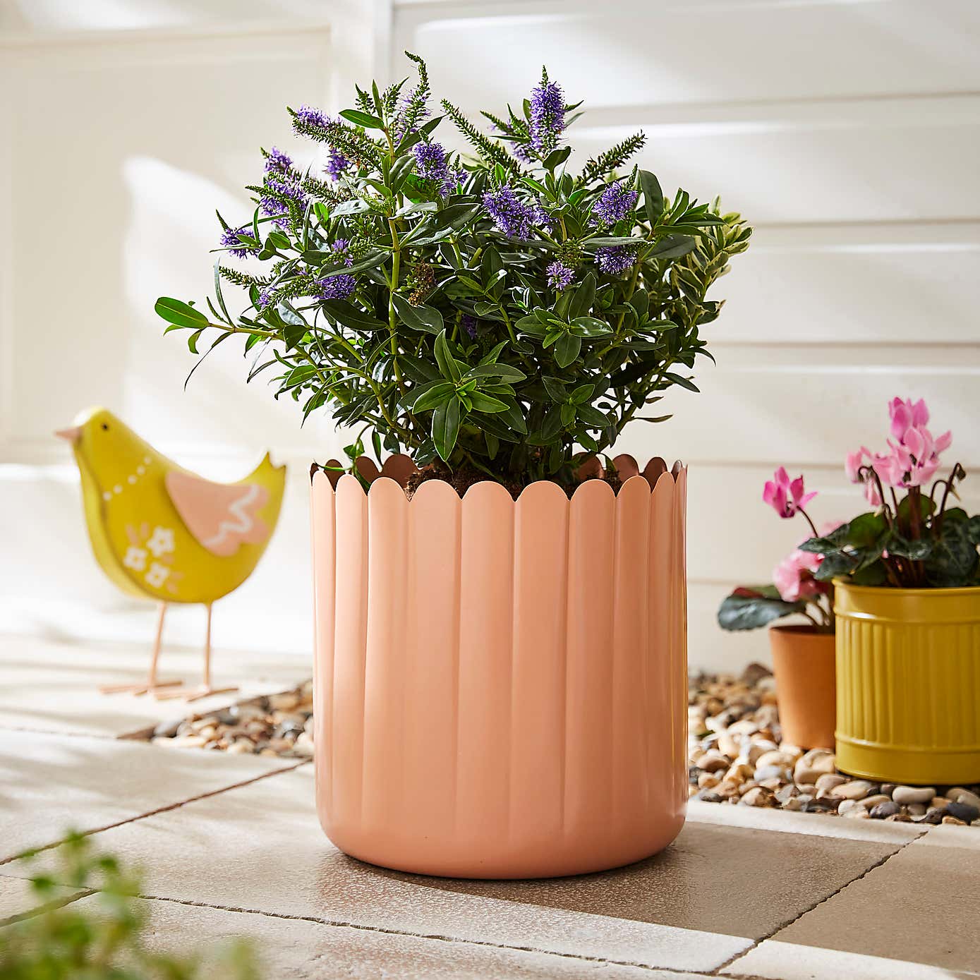 Bright Scalloped Metal Plant Pot