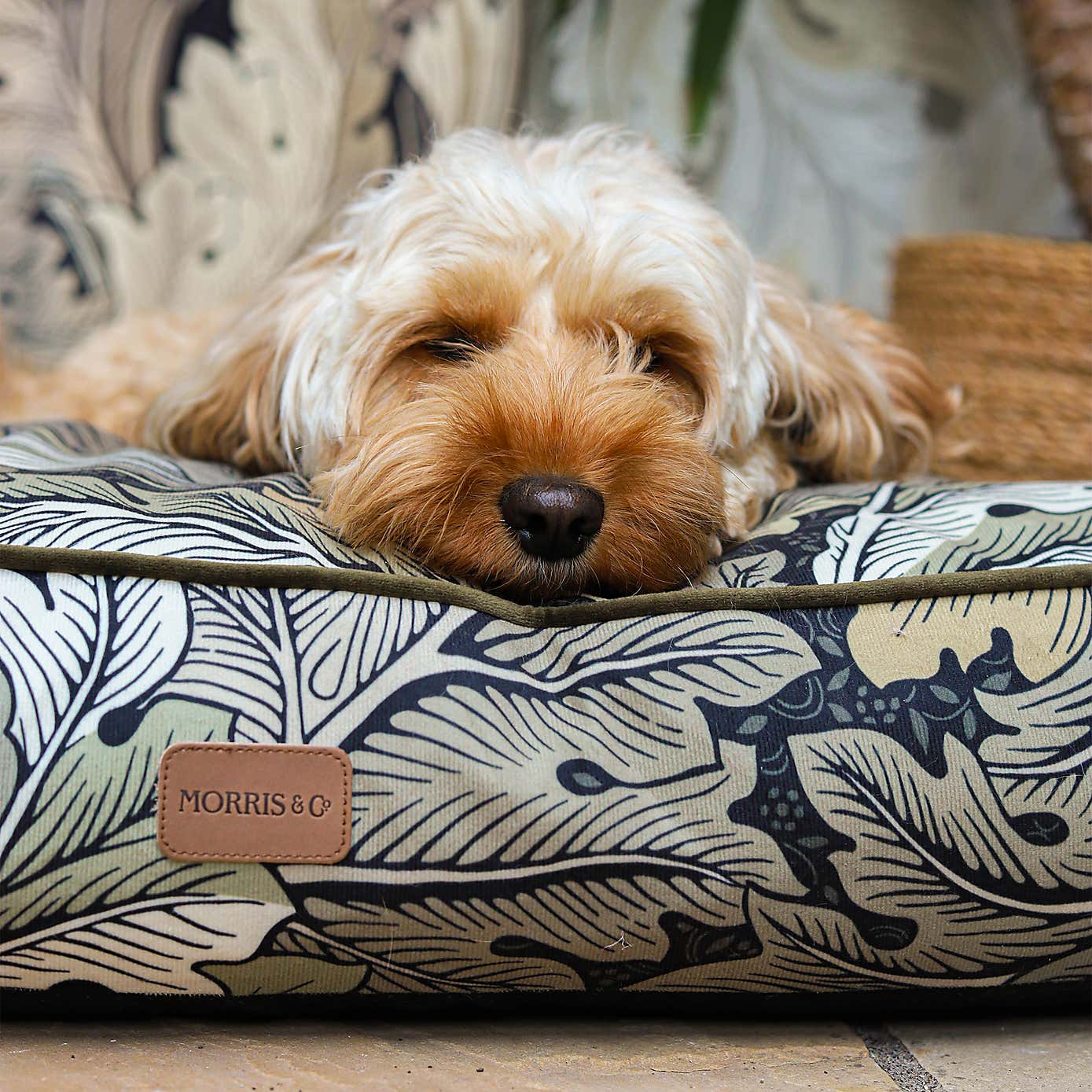 Morris & Co. Acanthus Pet Mattress