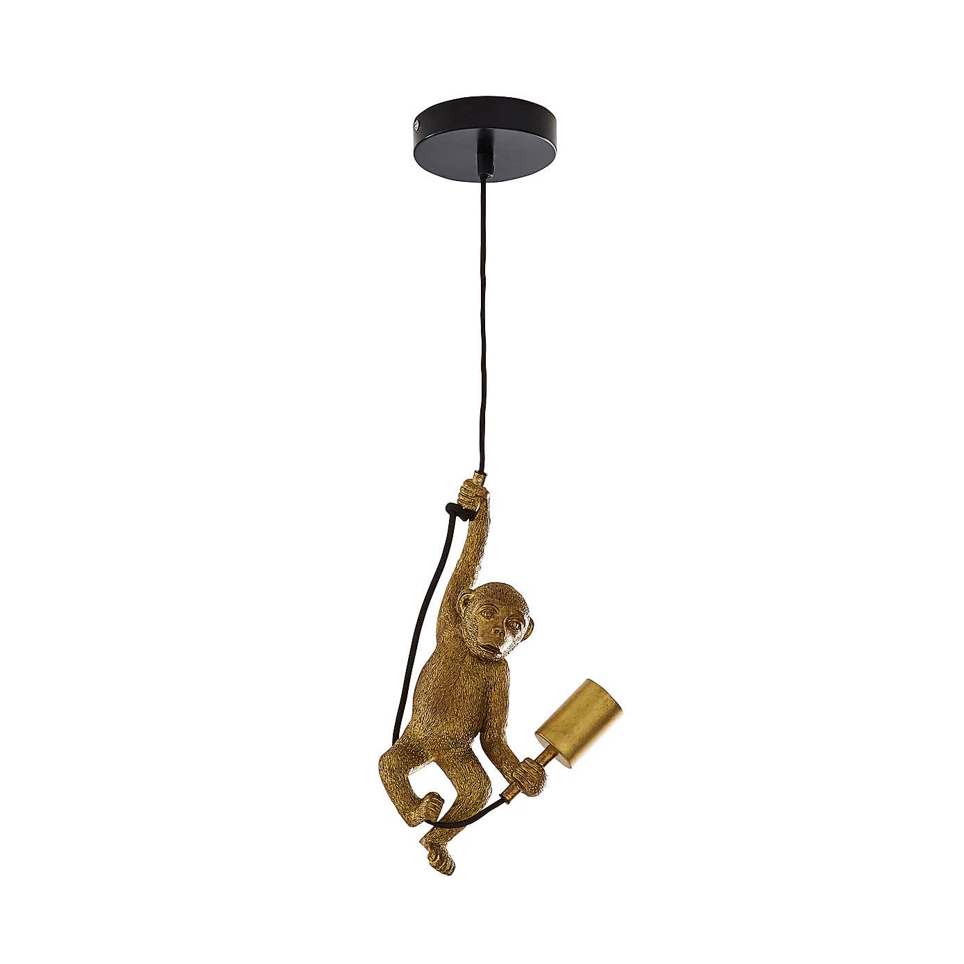 Odisha Monkey Ceiling Fitting