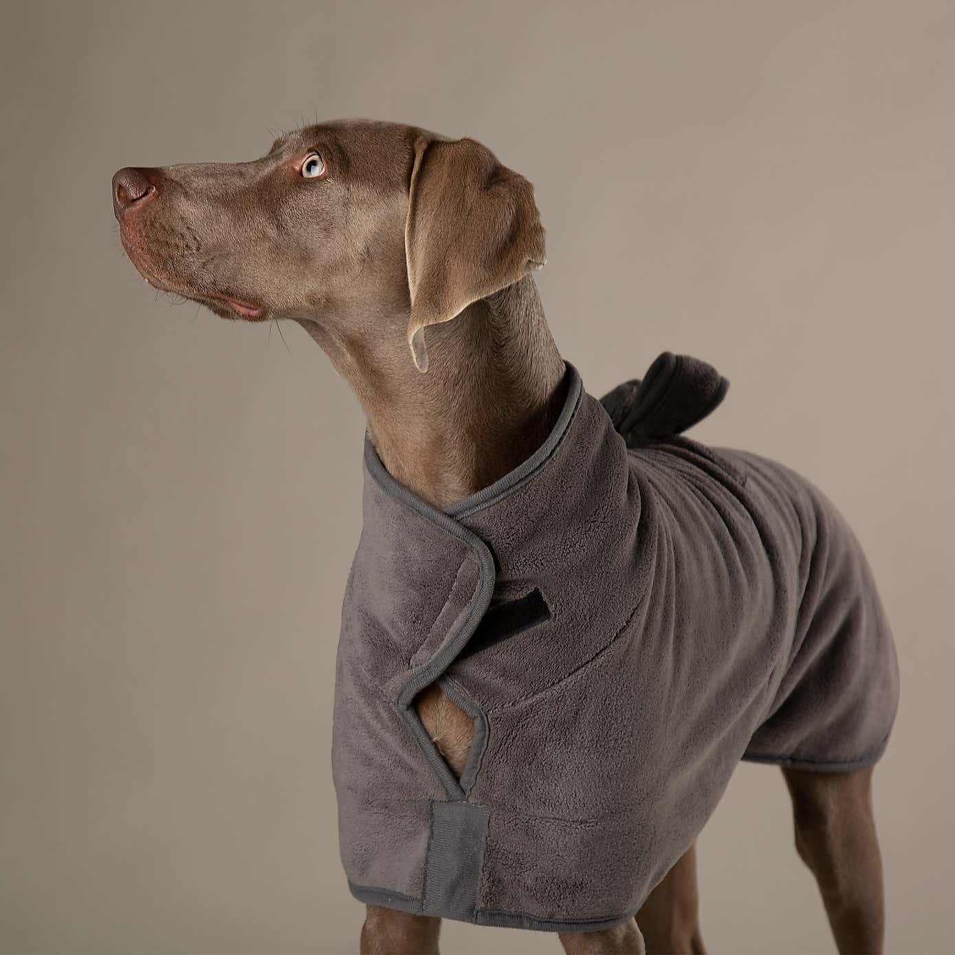 Scruffs Expedition Dog Drying Robe