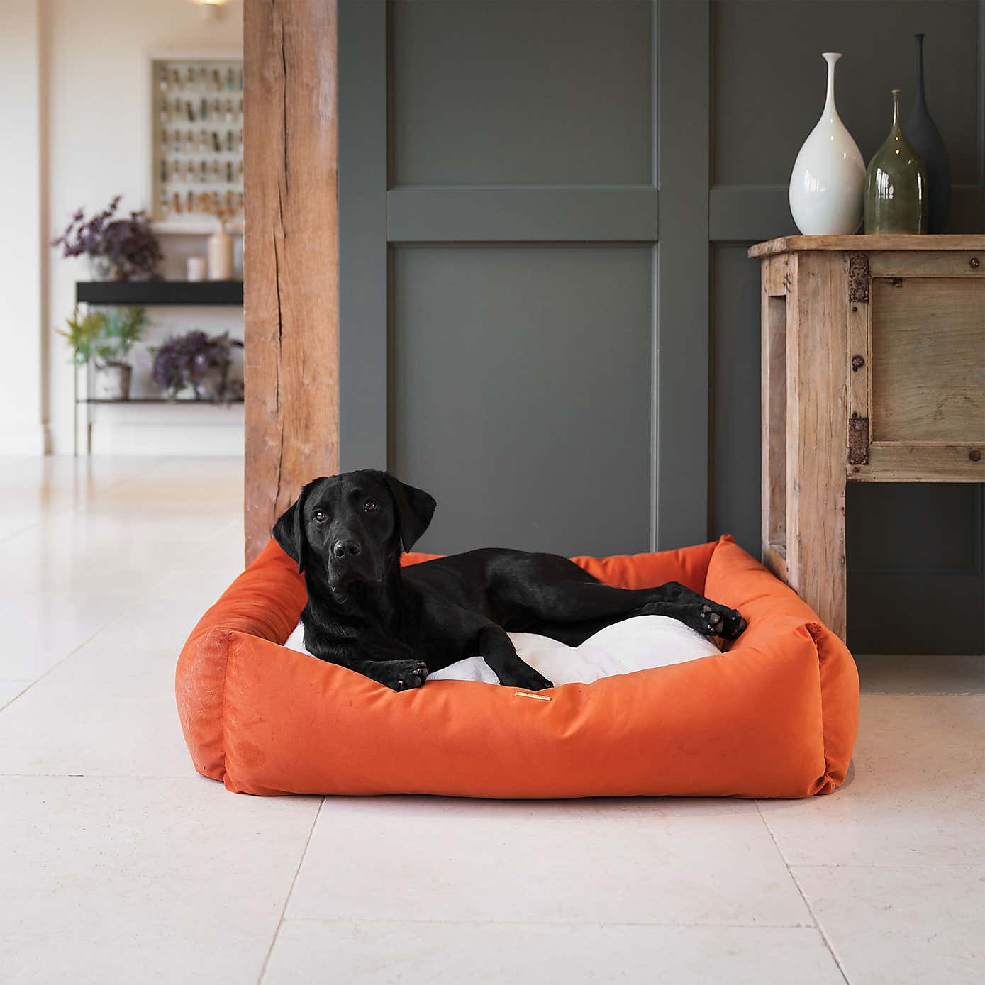Lords and Labradors Velvet Box Dog Bed