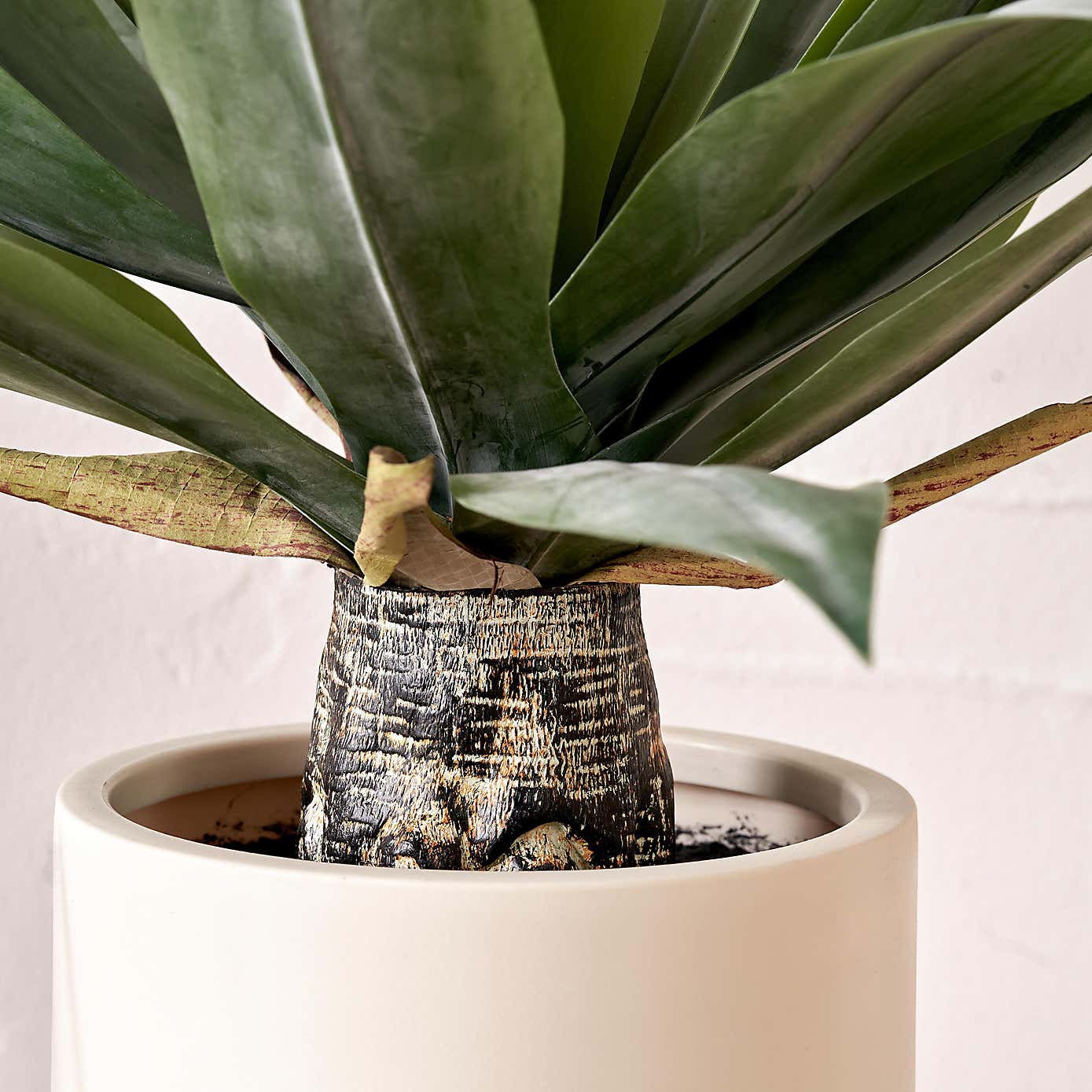 Artificial Agave Plant in Cream Plant Pot
