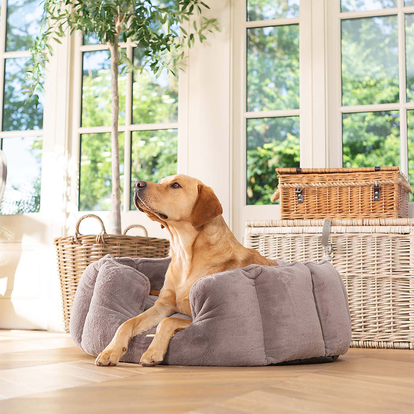 Lords and Labradors High Wall Dog Bed