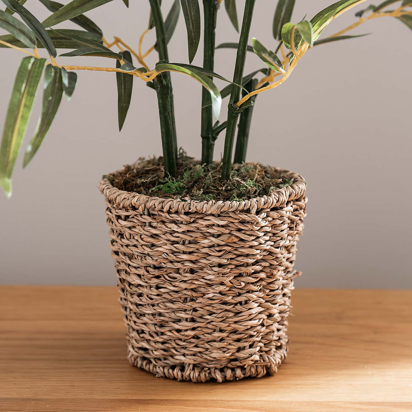 Artificial Small Bamboo in Woven Plant Pot