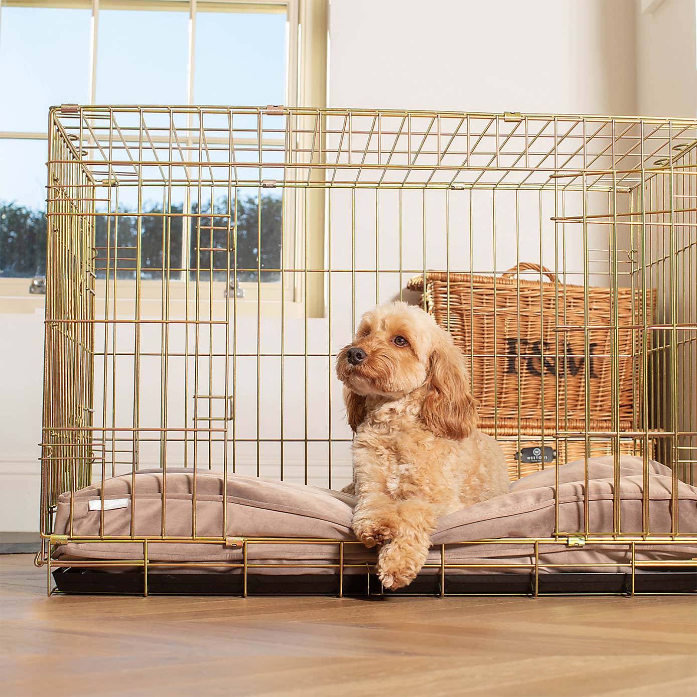 Lords and Labradors Velvet Dog Cushion