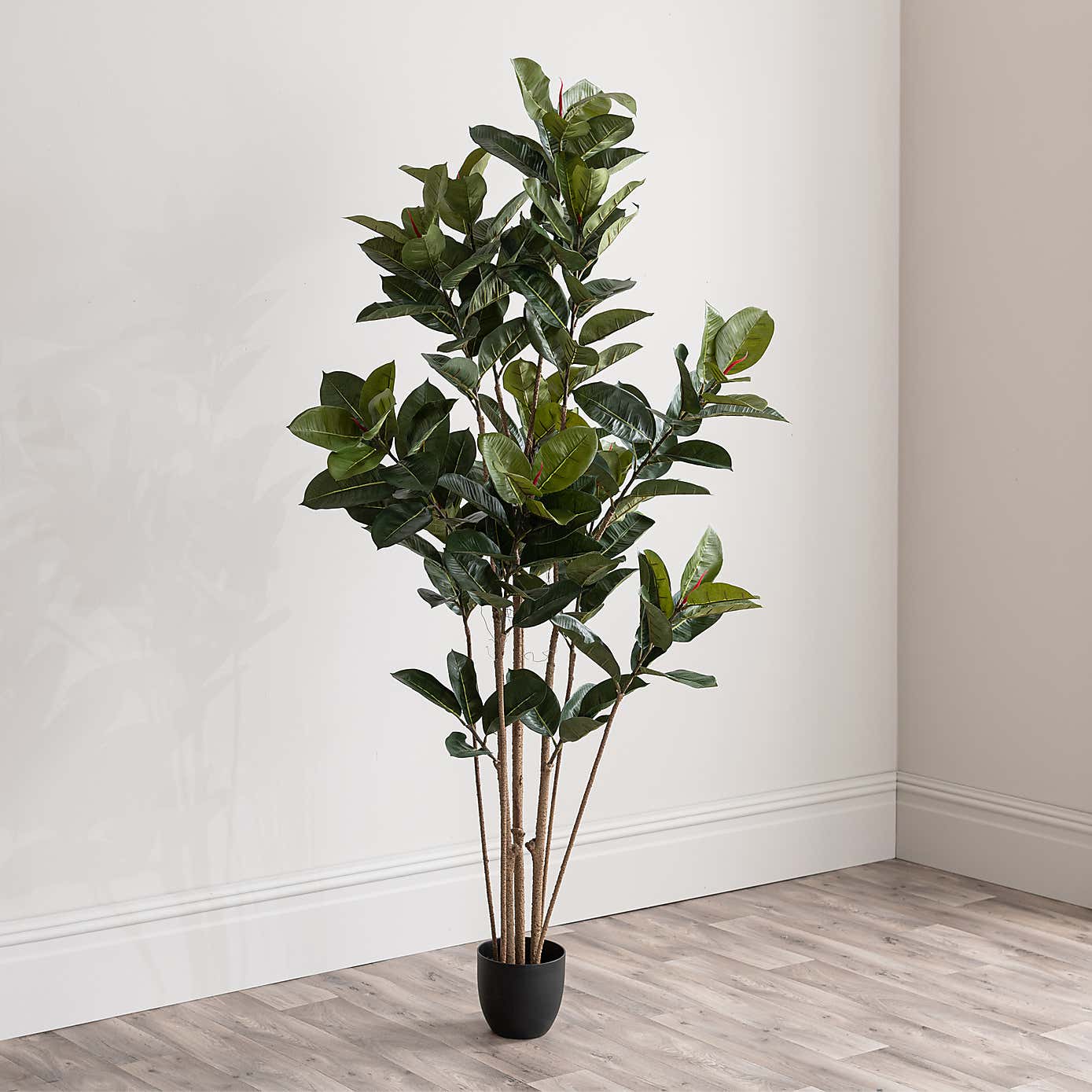 Artificial Rubber Tree in Black Plant Pot