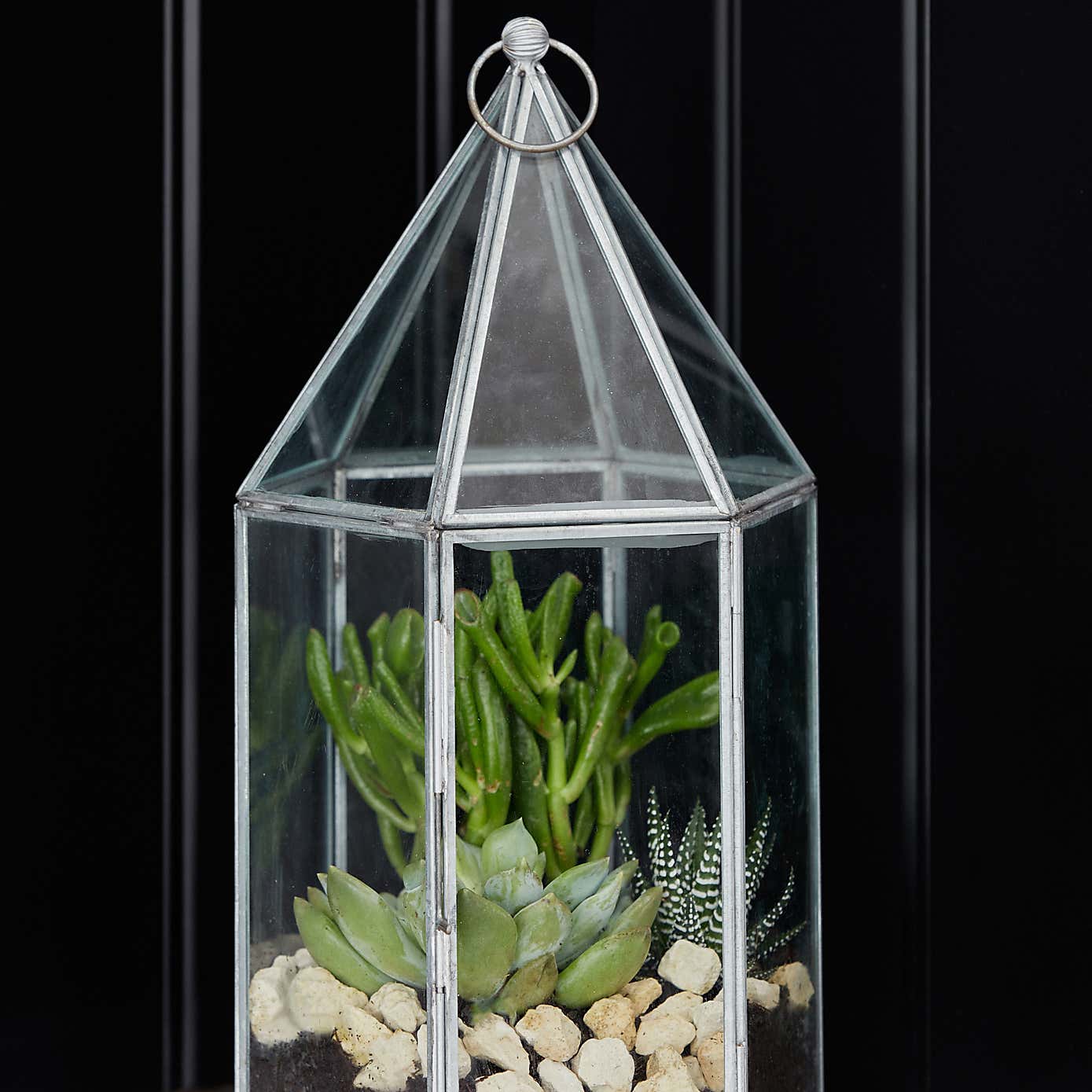Glass House Terrarium
