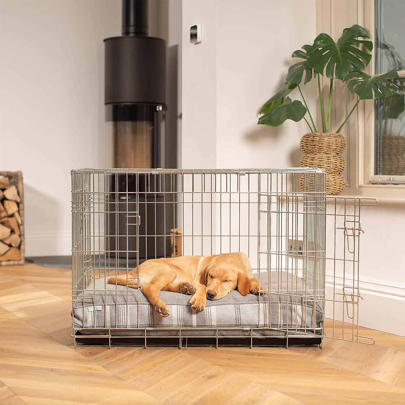 Lords and Labradors Balmoral Dog Cushion