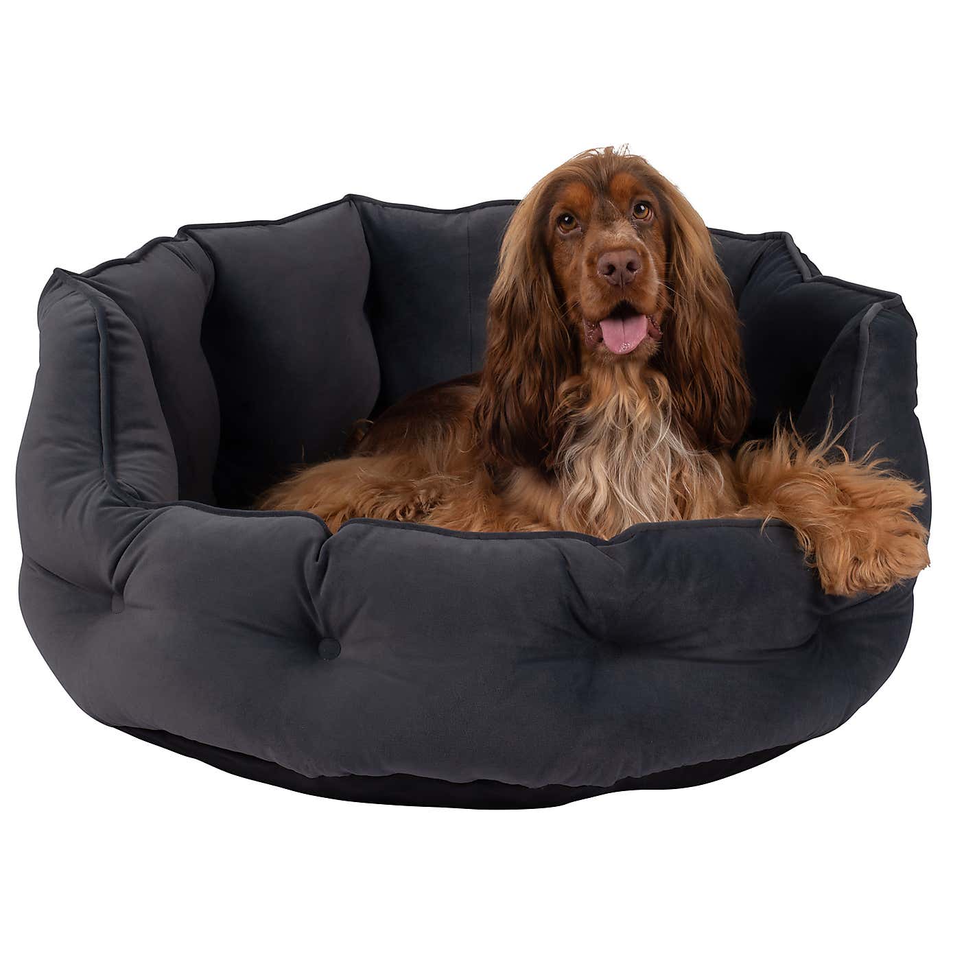 Bunty Pets Monarch Pet Bed