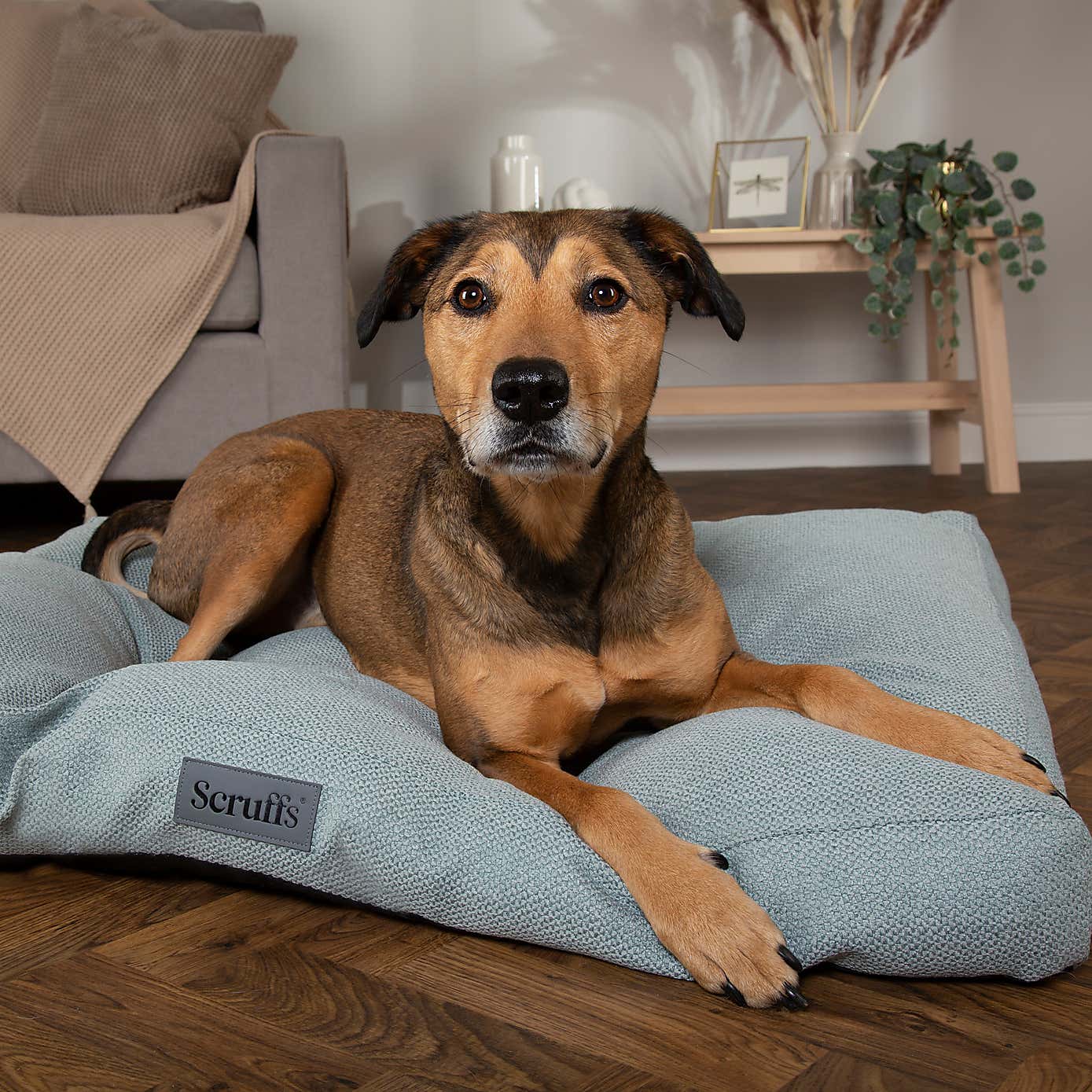 Scruffs Seattle Mattress