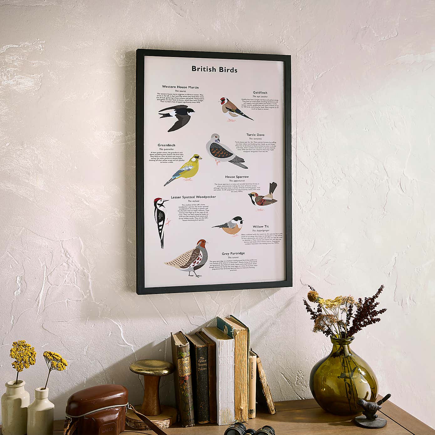 Framed Birds Print