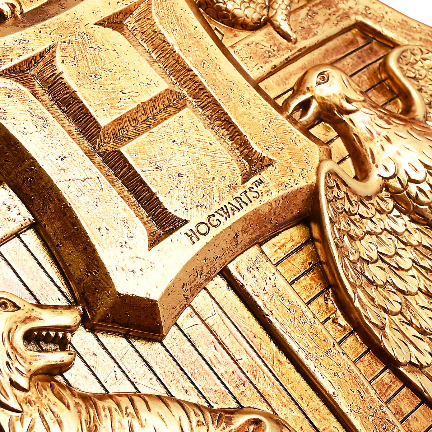 Harry Potter Wall Shield