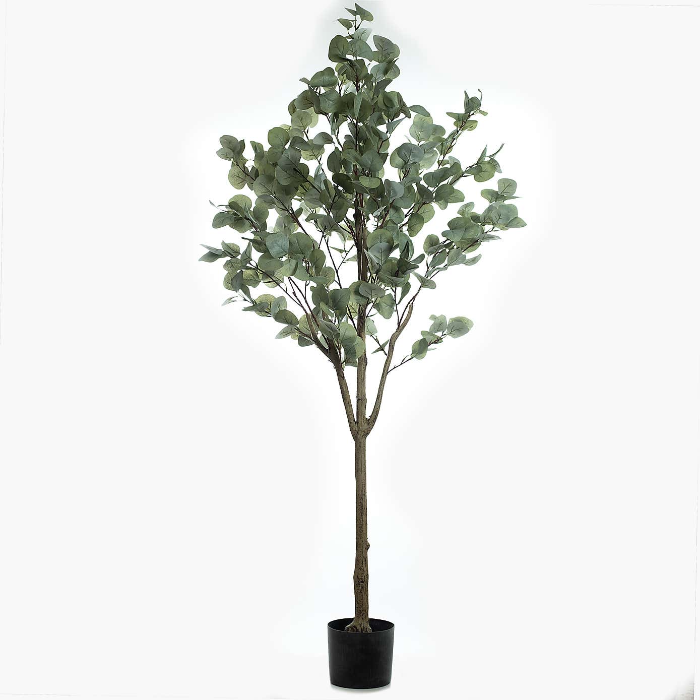 Artificial Eucalyptus Tree in Black Plastic Plant Pot