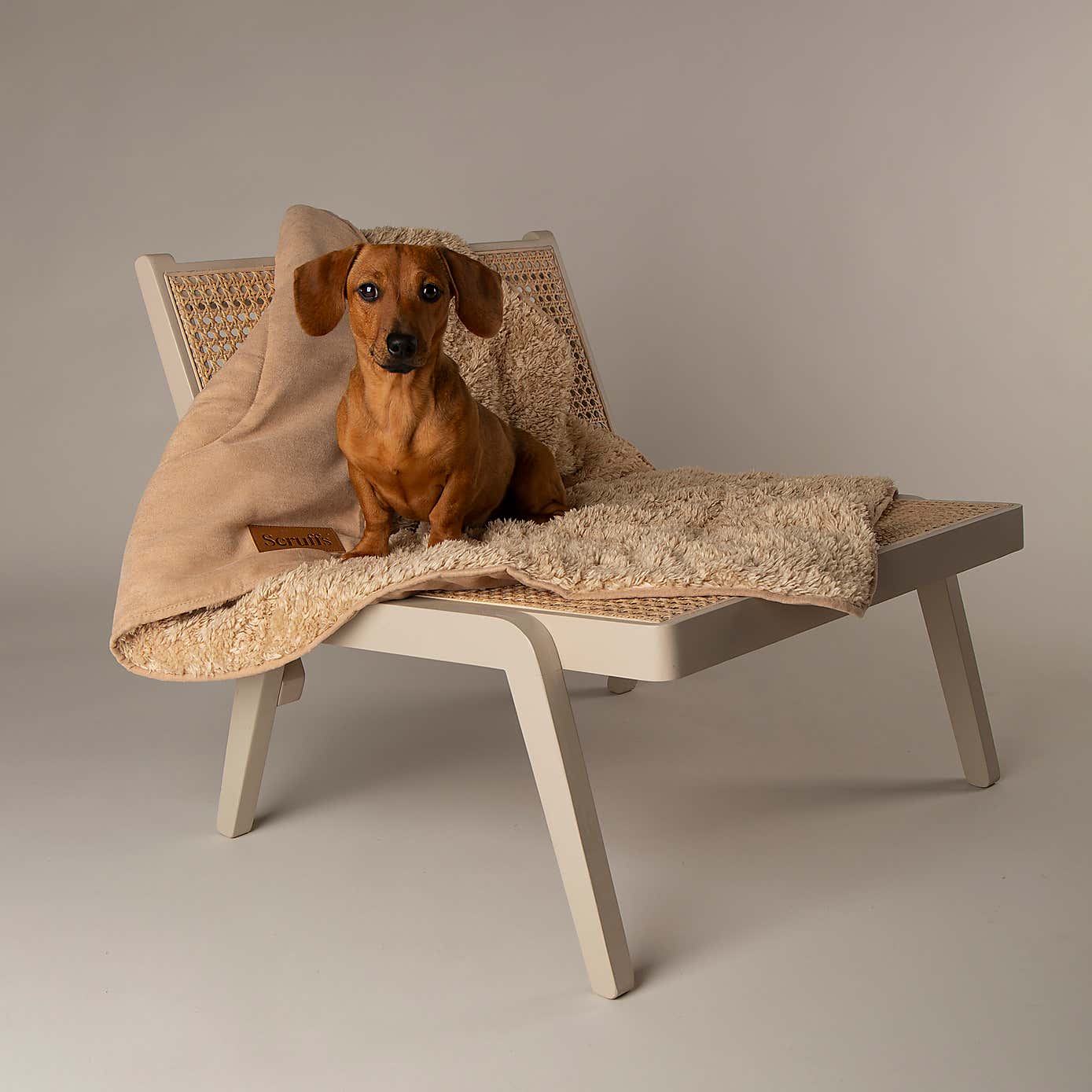 Scruffs Snuggle Blanket