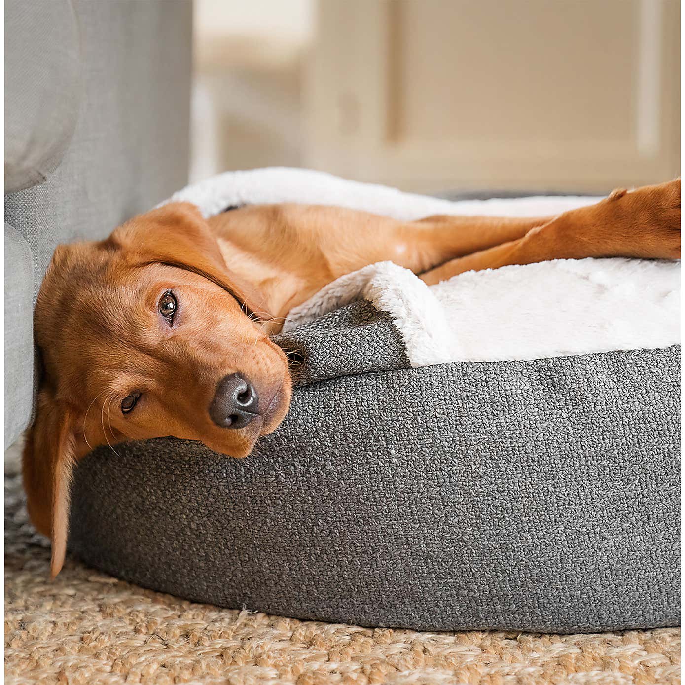 Lords and Labradors Essentials Herdwick Dog Den