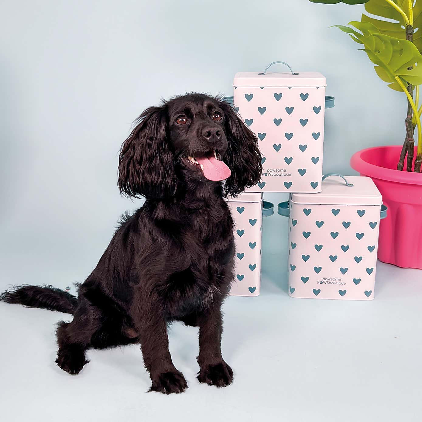 Green Hearts Storage Tin with Scoop