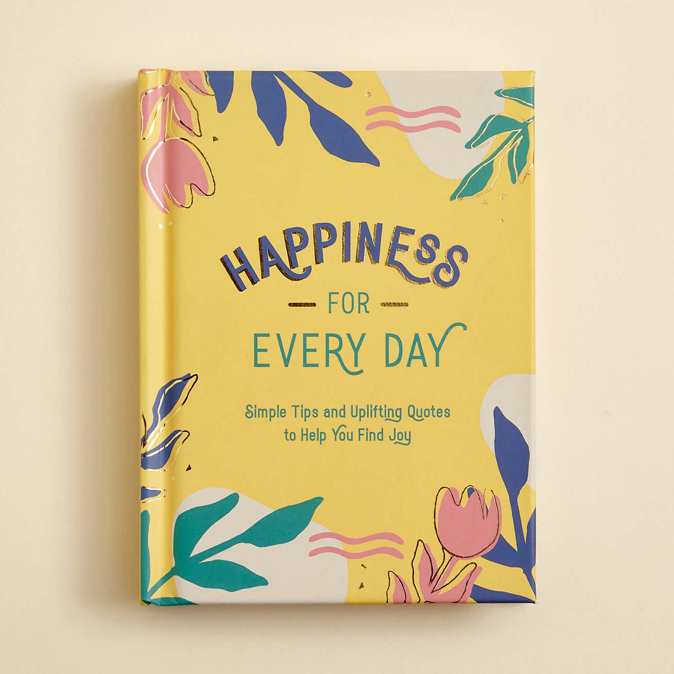 Happiness for Everyday Book