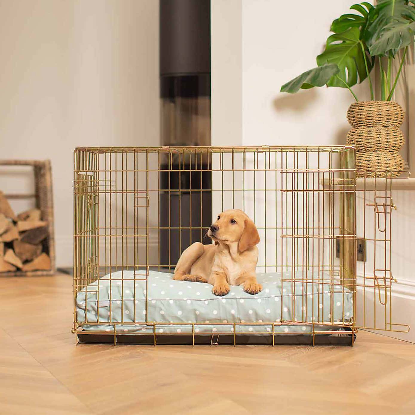 Lords and Labradors Dog Cushion