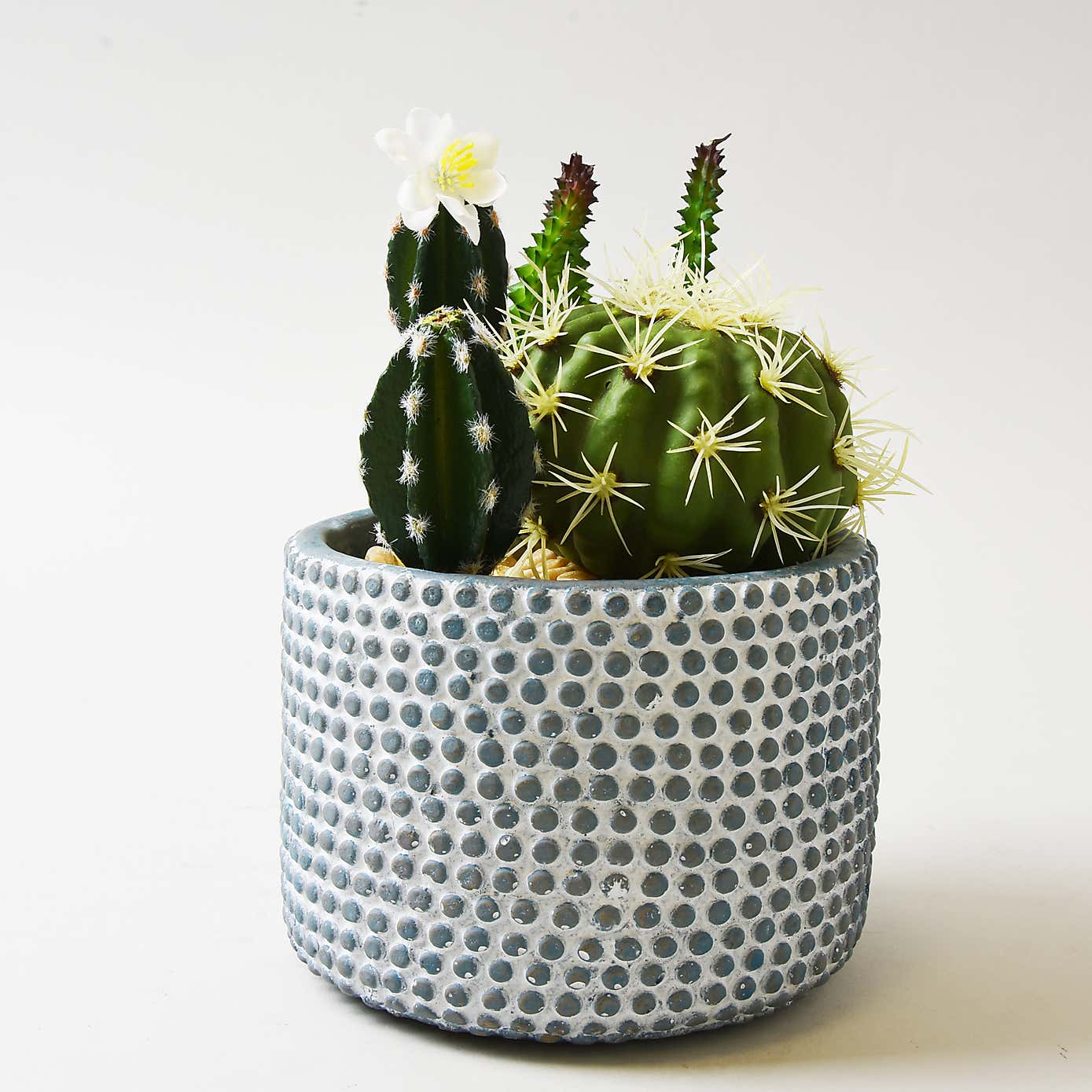 Artificial Cactus  in Textured Blue and White Plant Pot