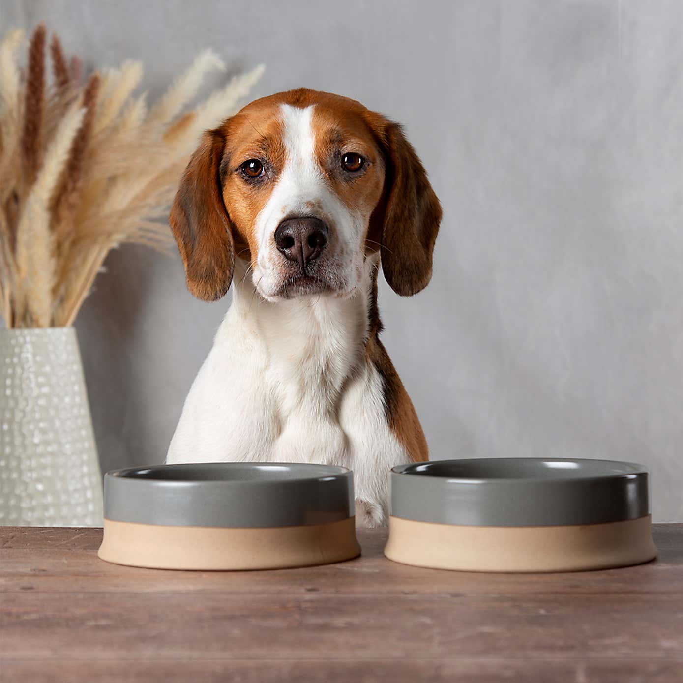 Scruffs Set of 2 Scandi Pet Bowls