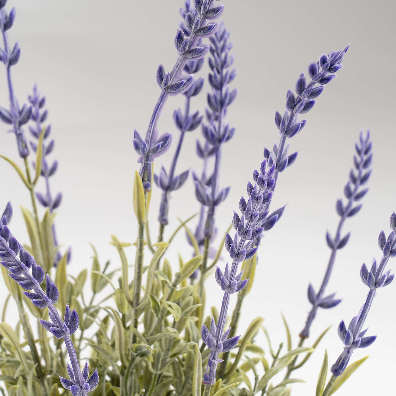 Artificial Lavender in Wavy Cement Plant Pot