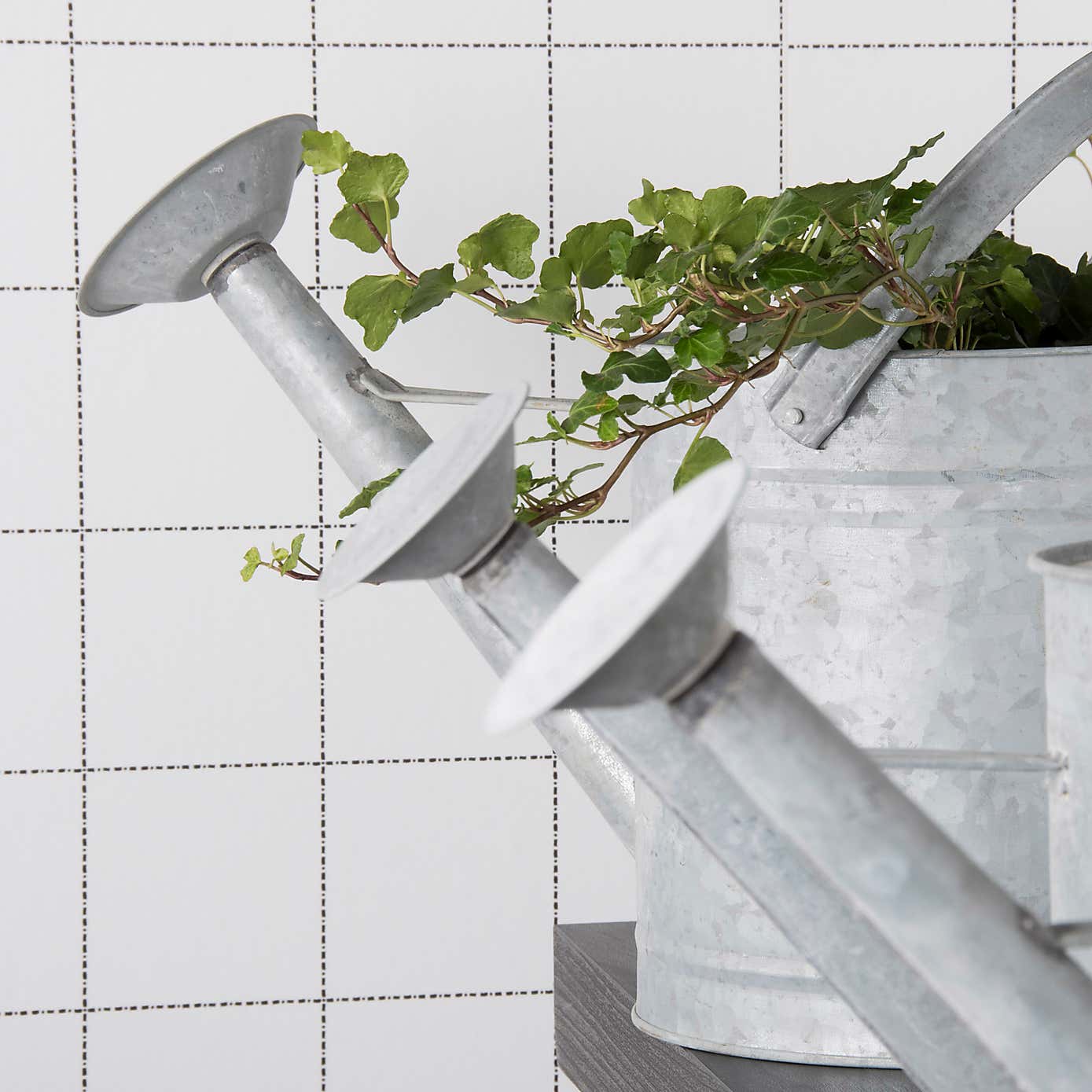 Fallen Fruits Old Zinc Watering Can