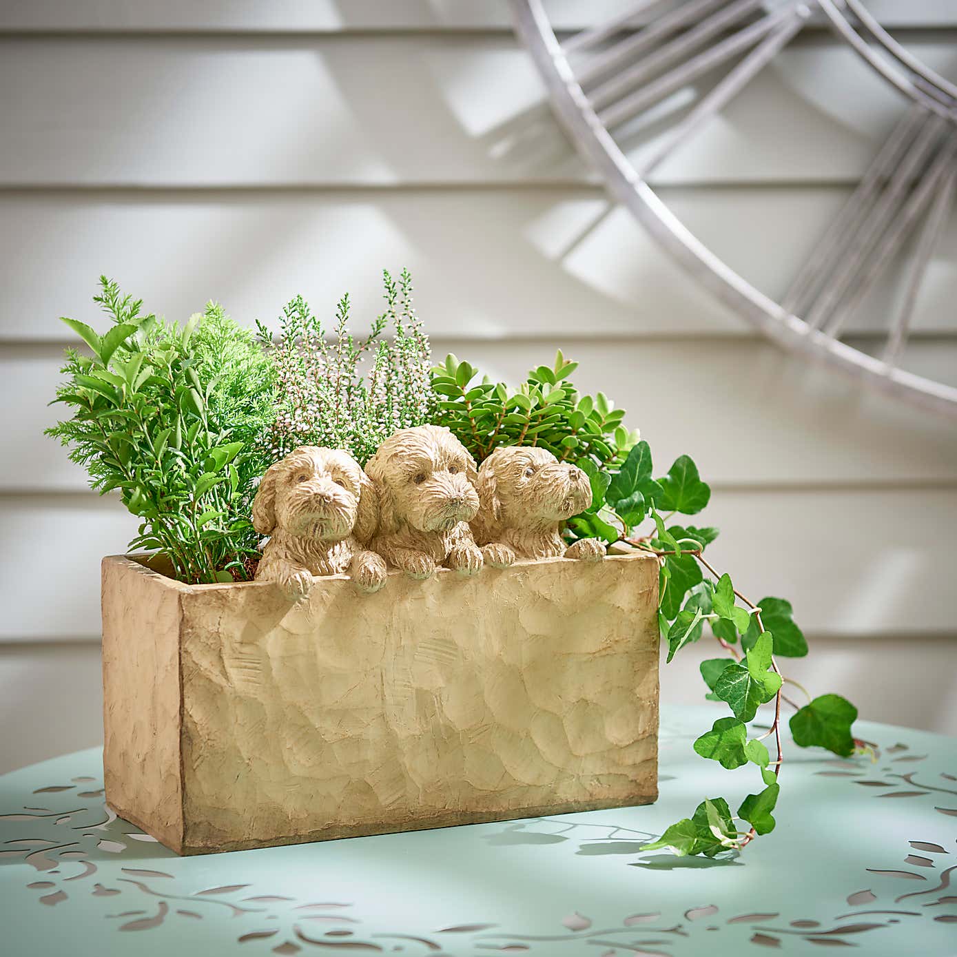 Set of 3 Cockapoo Planter