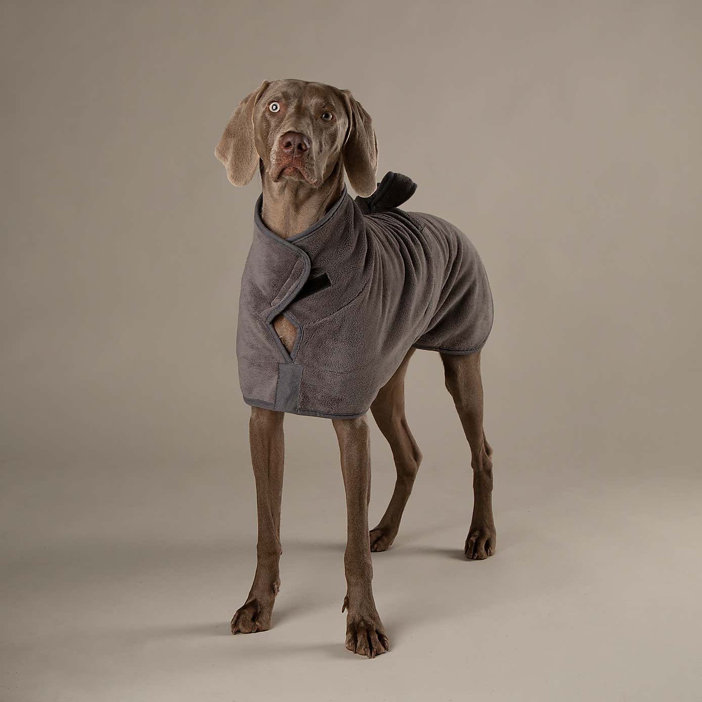 Scruffs Expedition Dog Drying Robe