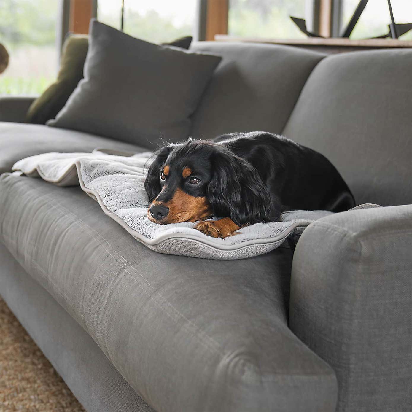 Lords and Labradors Pet Roll and Go