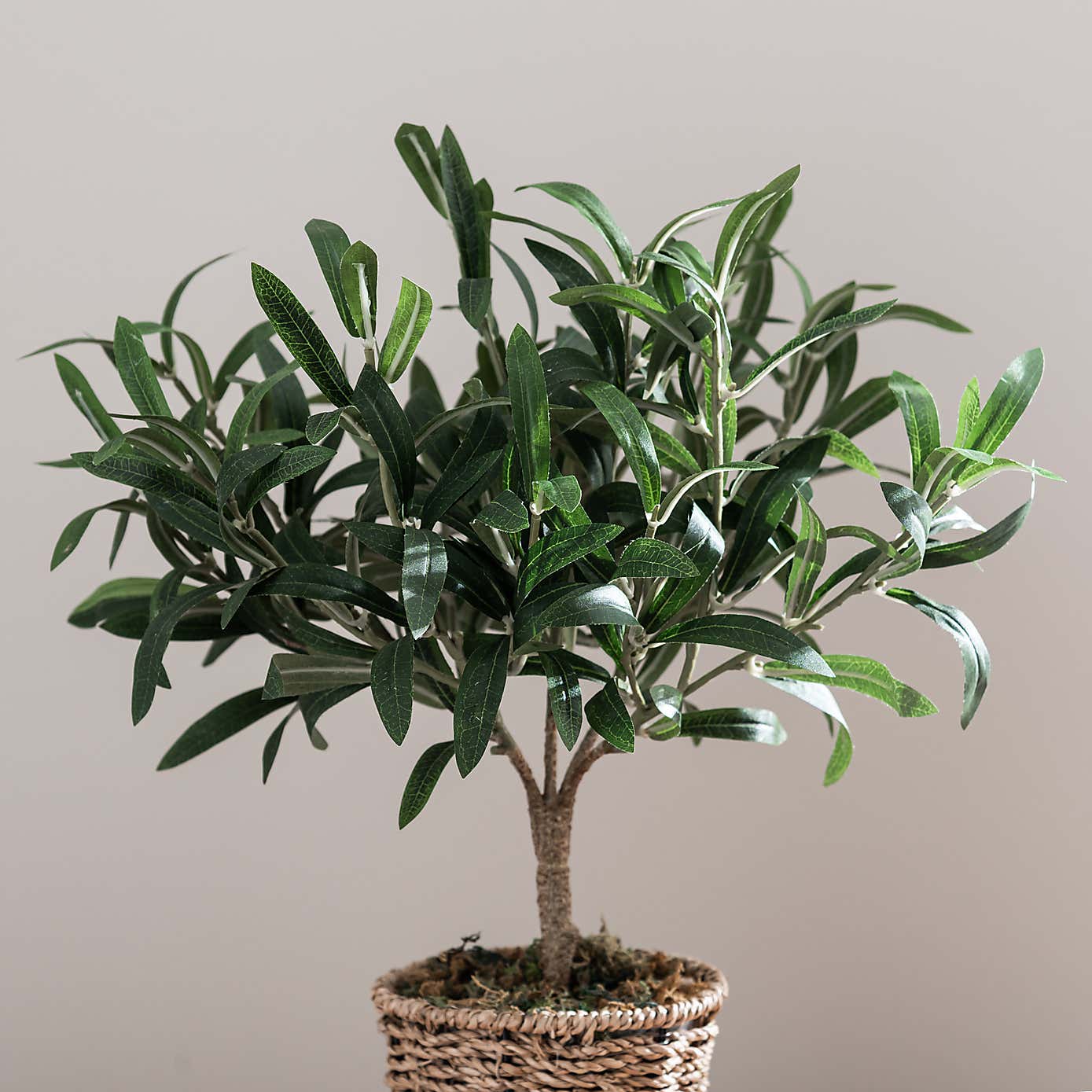 Churchgate Artificial Small Olive Tree in Woven Plant Pot