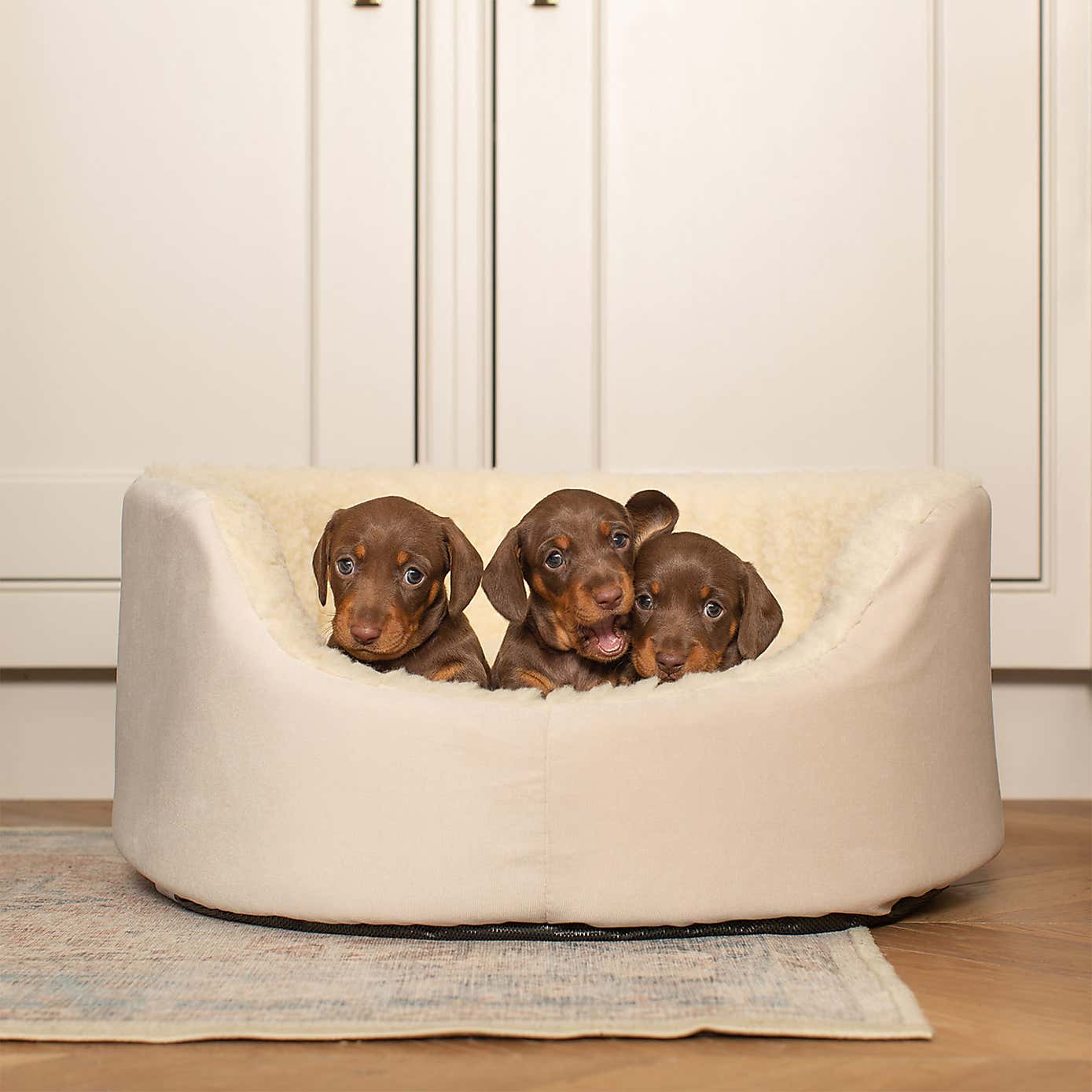 Lords and Labradors Grow With Me Puppy Bed