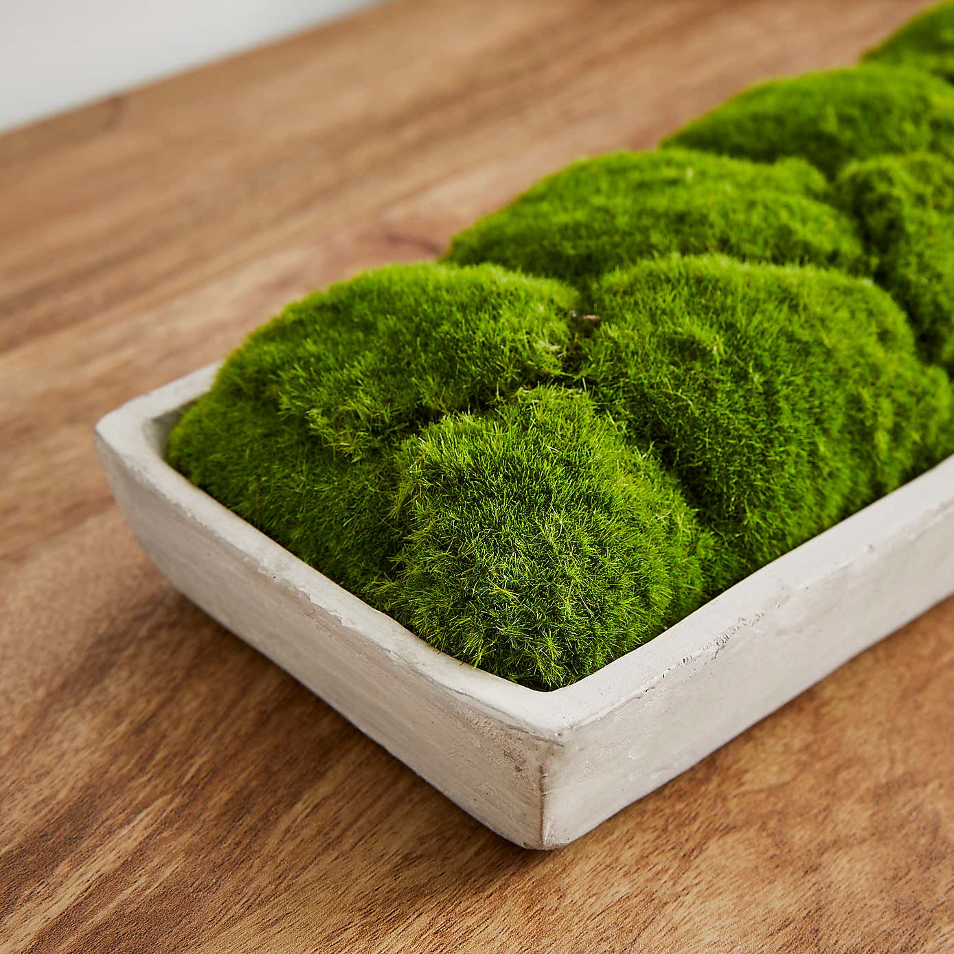 Artificial Moss in Cement Tray