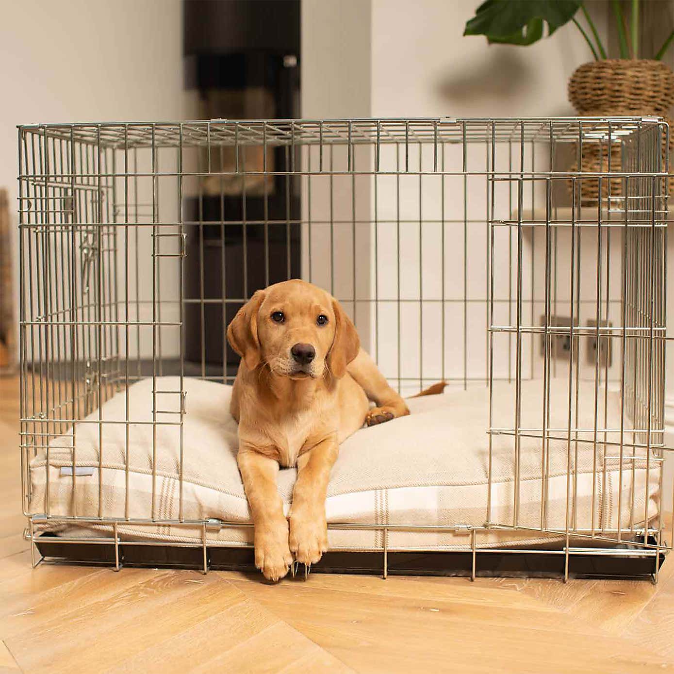 Lords and Labradors Balmoral Dog Cushion