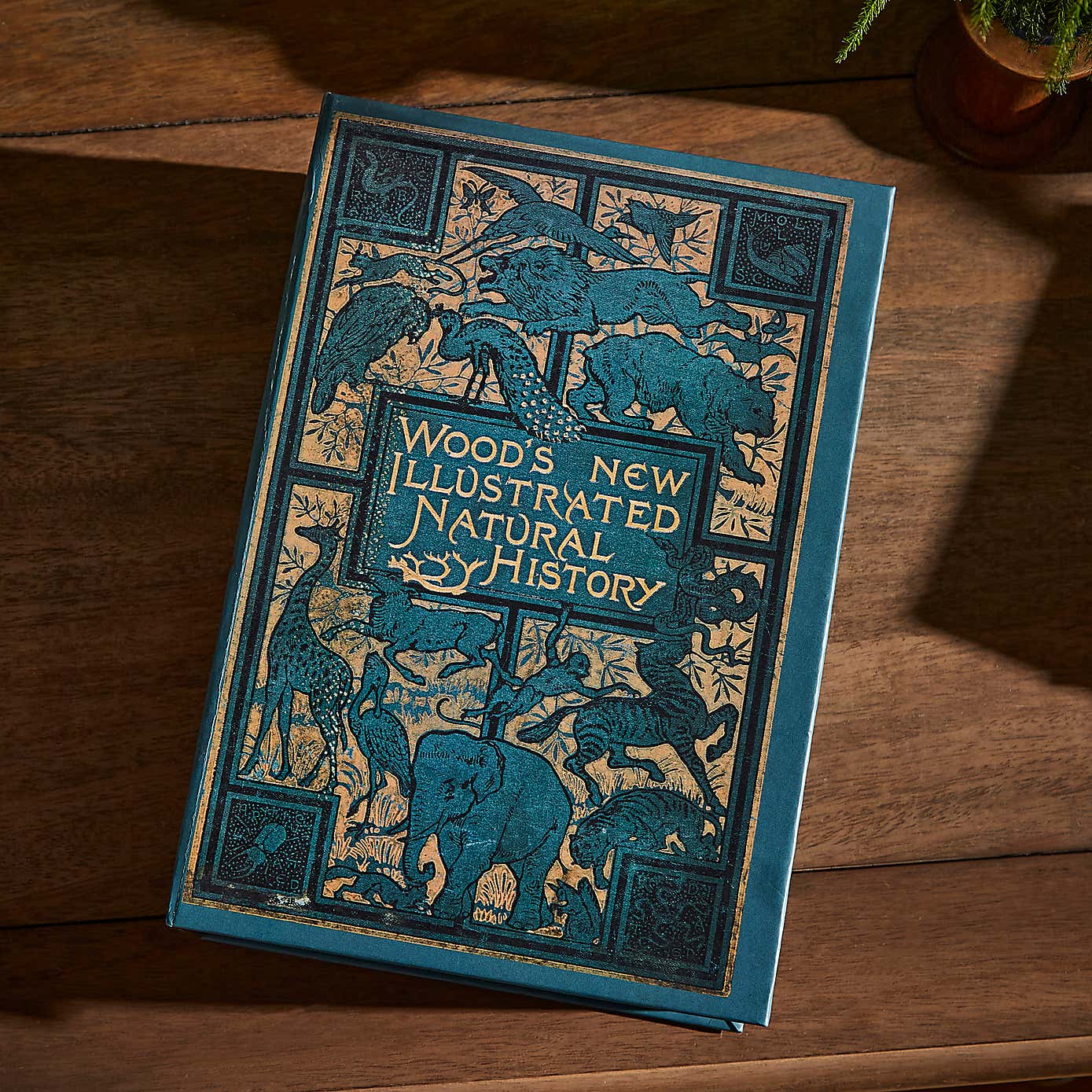 Set of 2 Storage Books