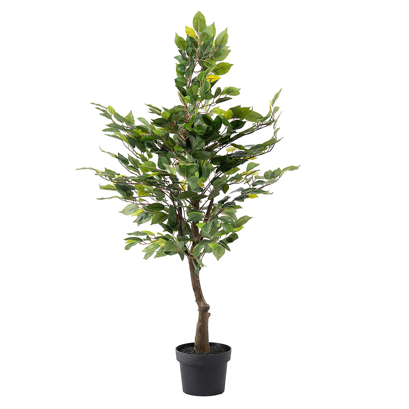 Artificial Mini Ficus Tree in Black Plastic Plant Pot