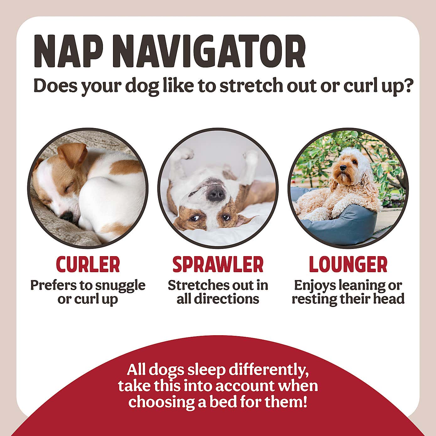 Rosewood Sonny Plastic Pet Bed