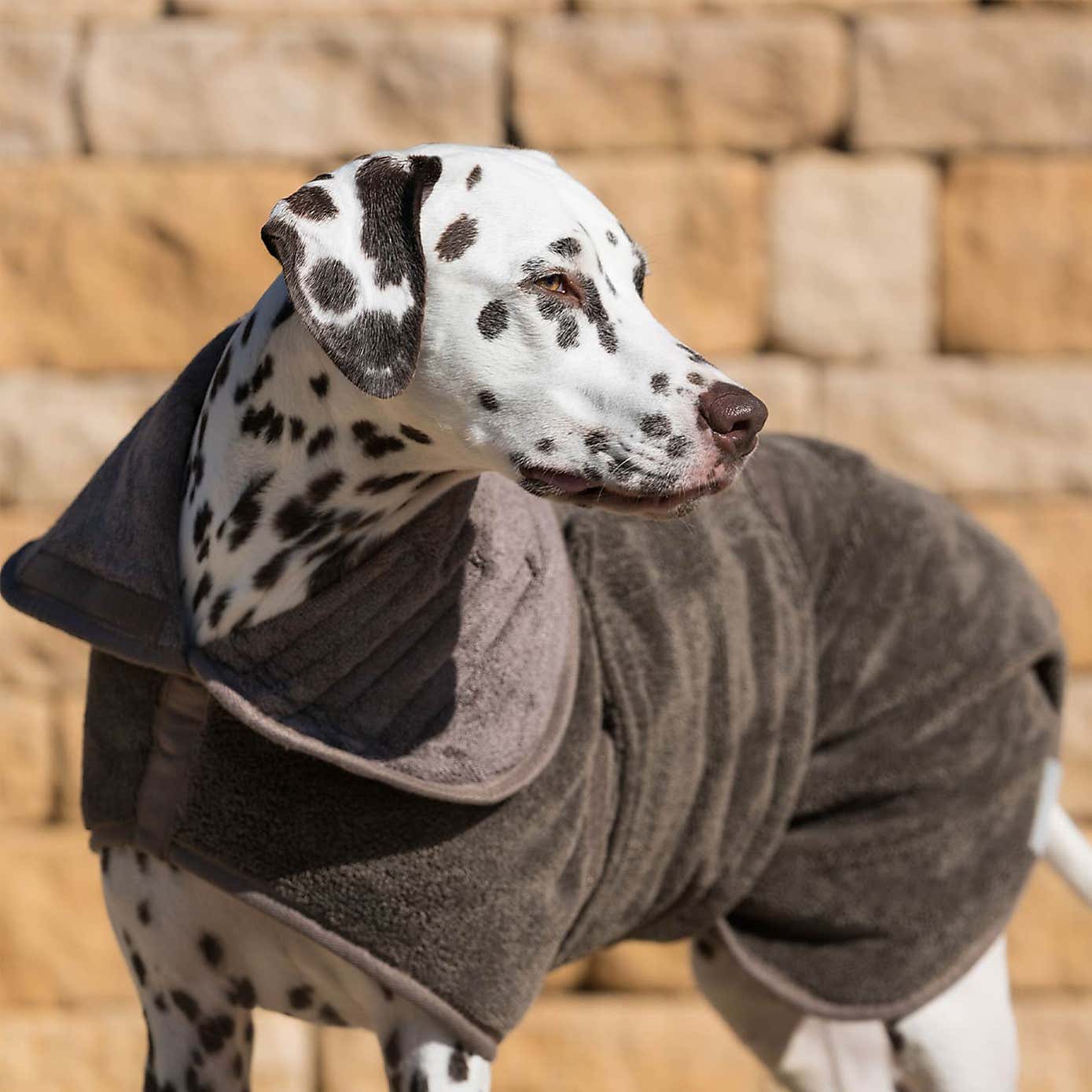 Lords and Labradors Bamboo Dog Drying Coat