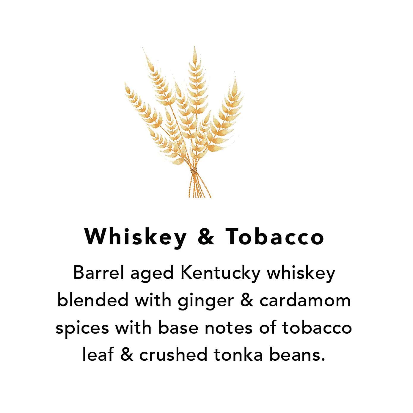 Northern Lights Whiskey and Tabacco Pack of 6 Votive Candles