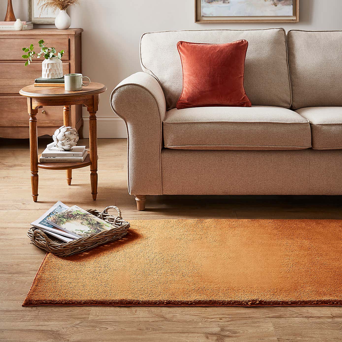 Plush Washable Shag Pile Rug