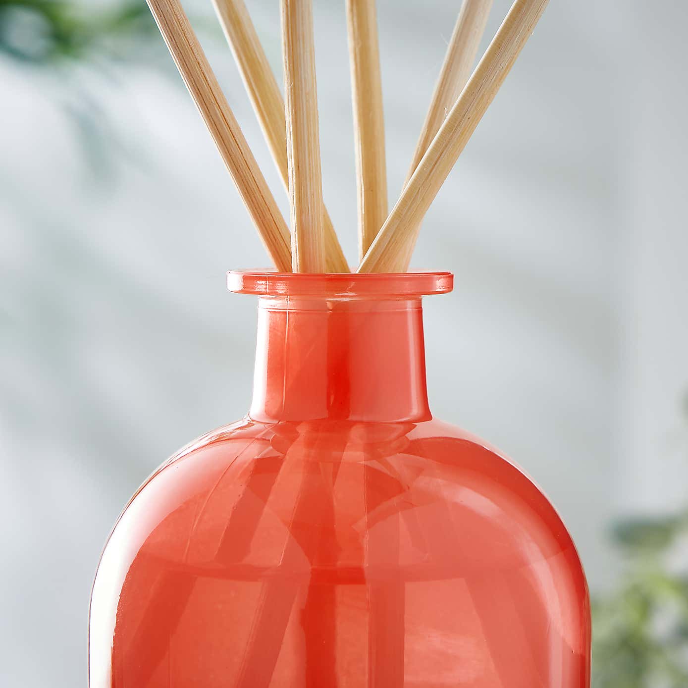 Cherry and Blackcurrant Diffuser